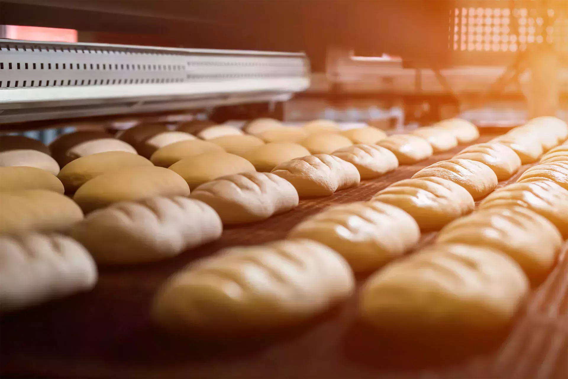 Bread roll in the oven